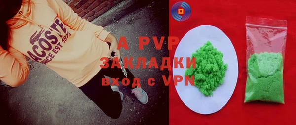 молекула духа Бородино