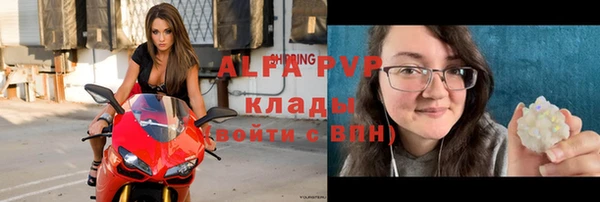молекула духа Бородино