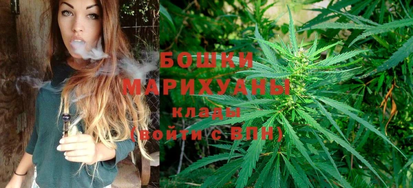 молекула духа Бородино