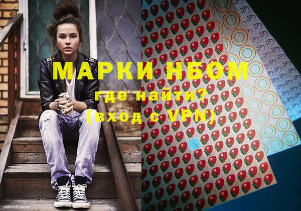 молекула духа Бородино