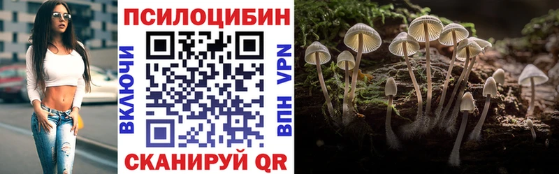 Галлюциногенные грибы Psilocybe  цена наркотик  ссылка на мегу рабочий сайт  Саранск 